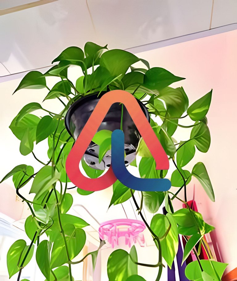 Quarto Cama Queen | Perto da Praia | Hotspot BOTA